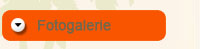 Fotogalerie